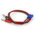 Dynamite DYNC0018 Charge Lead: EC3 with 12 Wire & Jacks