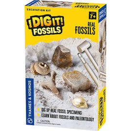 TNK630461: I Dig It! Fossils - Real Fossils Excavation Kit