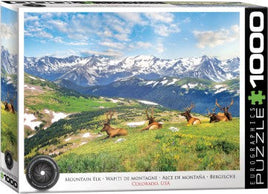 ERG65705: Mountain Elk, Colorado USA Puzzle (1000pc)